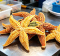 Golden Sea Star Delicacies: A Taste of the Ocean